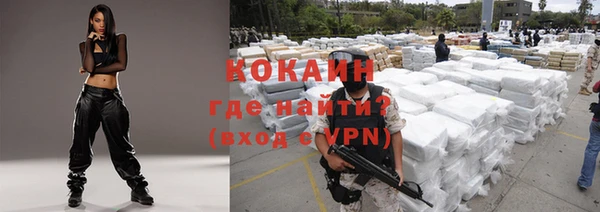крисы Пересвет