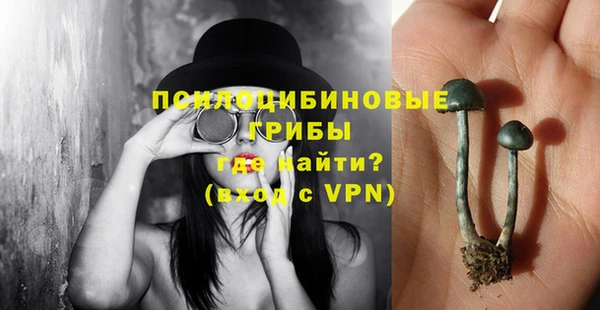 mdpv Пестово