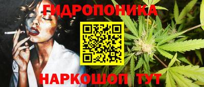 spice Гусев