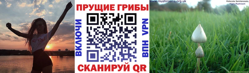 Псилоцибиновые грибы ЛСД  блэк спрут ONION  Усолье-Сибирское 