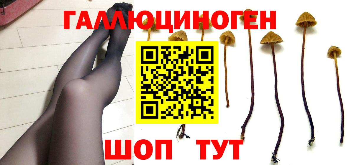 Галлюциногенные грибы Magic Shrooms  Усолье-Сибирское  Псилоцибиновые грибы Psilocybe 