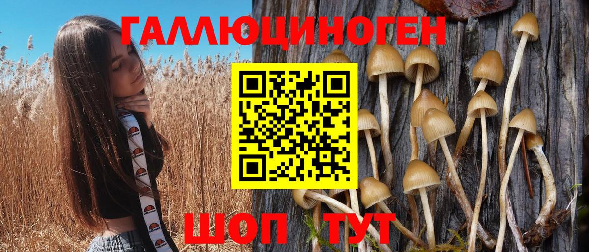 Псилоцибиновые грибы мицелий Усолье-Сибирское